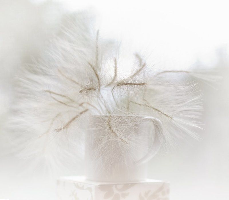 Гарригаphoto preview