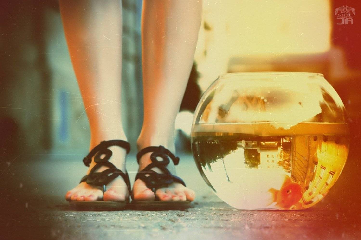 , Андрей Юрьев