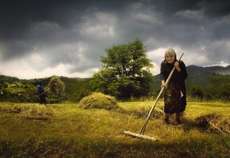 borovo, rain, rhodope, bulgaria Before the Rainphoto preview