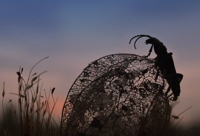 День ушел, и не догонишьphoto preview