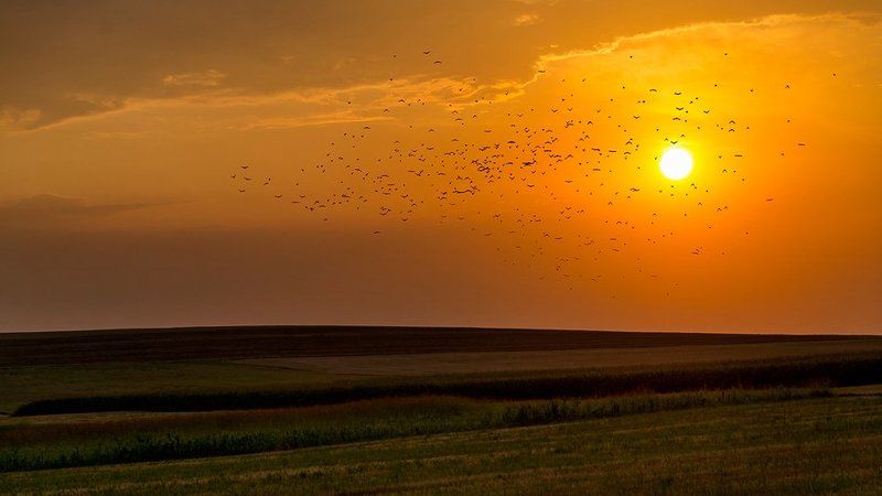 warmth around usphoto preview