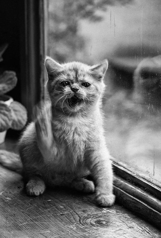 Пятница 13... фото превью