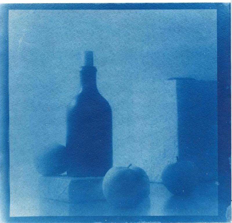 cyanotype, , print ***photo preview