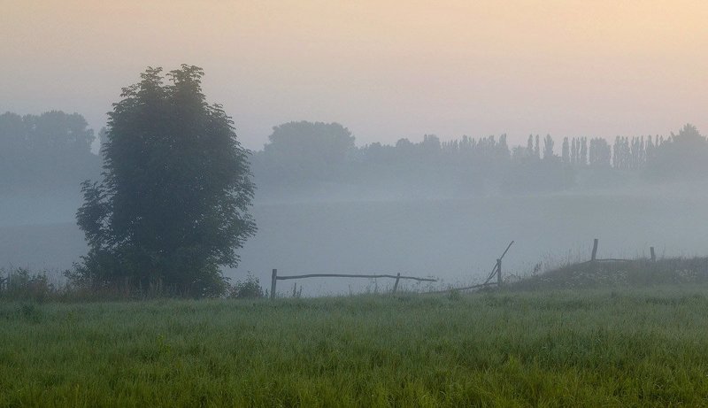 Триколорphoto preview