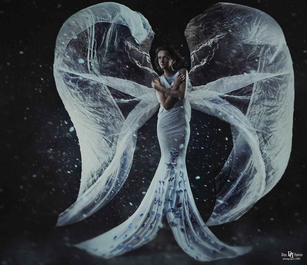 девушка, фото, портрет, образ, арт, графика, птица, студия, настроение, ткани, Alex Homin