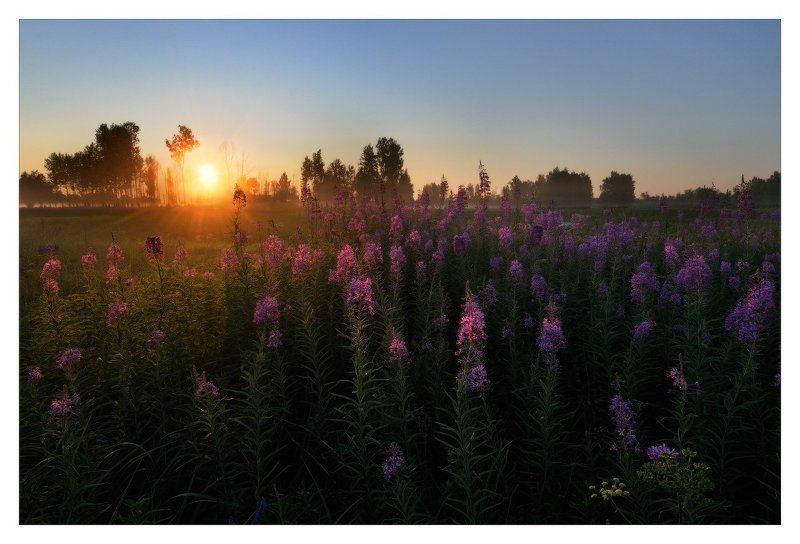 На рассветеphoto preview