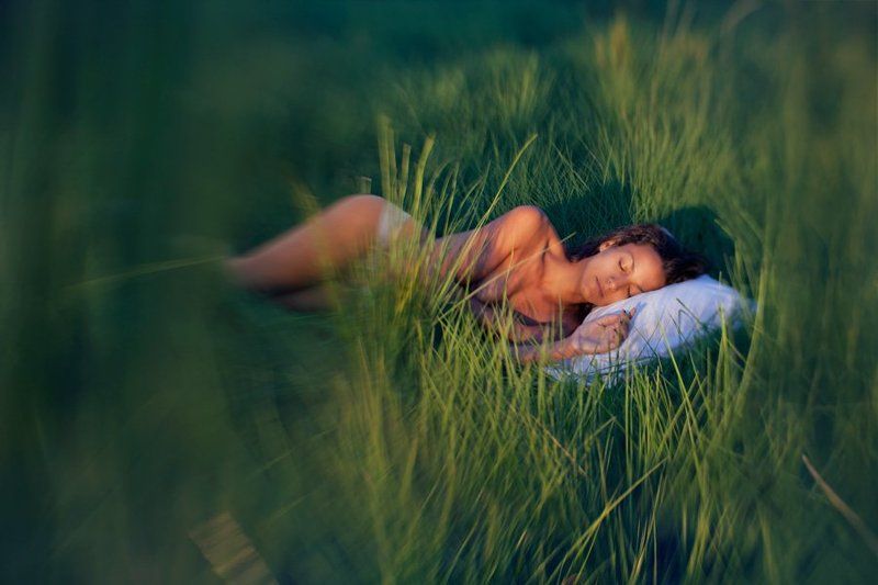 The Mind Wandersphoto preview