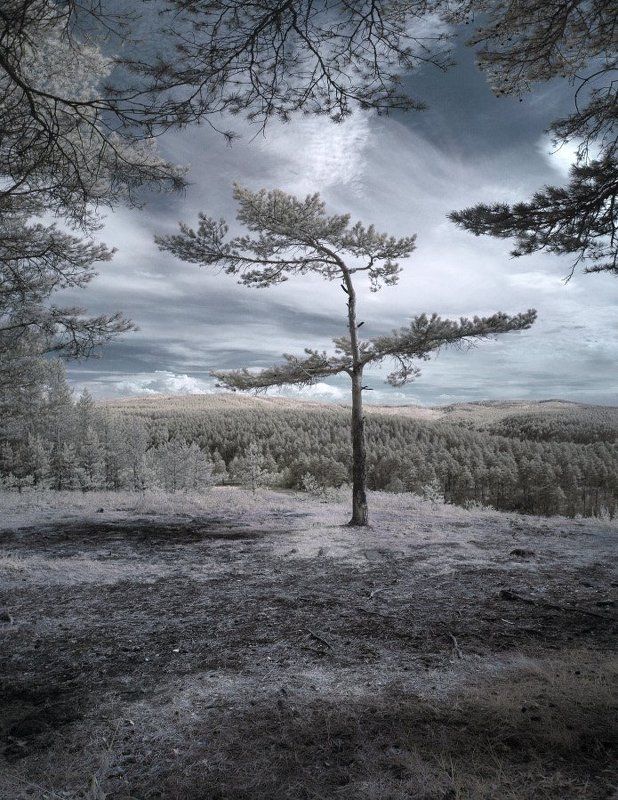 ir Балеринаphoto preview