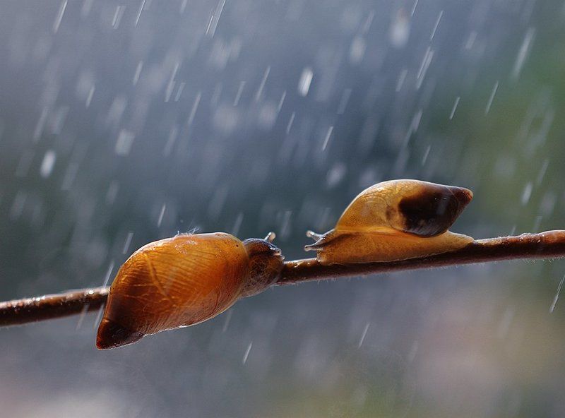 Поговорим о погодеphoto preview