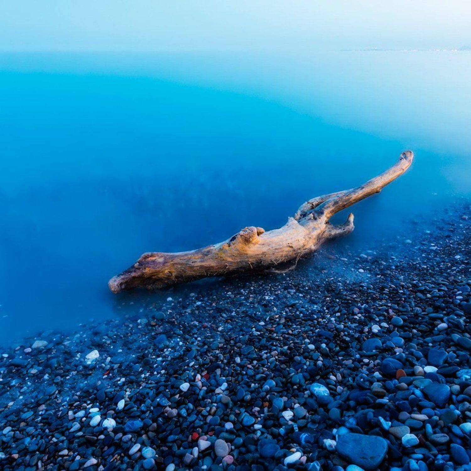 the tide. Автор: Sergey Shaposhnikov , Sergey Shaposhnikov