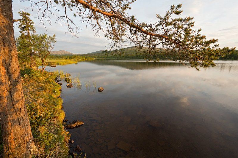 кольский, полуостров, лето, вируайвенч В окрестностях Вируайвенча фото превью