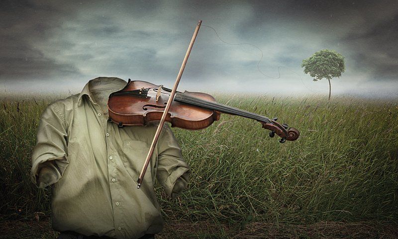 nature\'s musicphoto preview