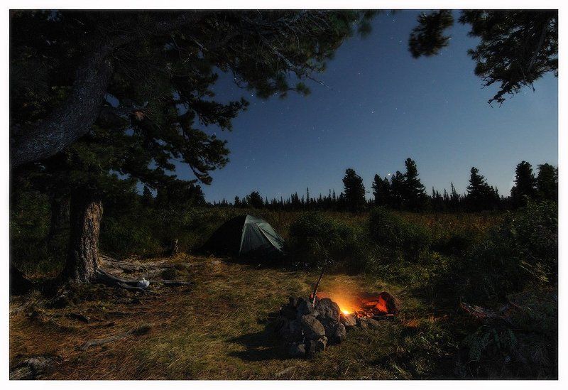 Лунная ночьphoto preview