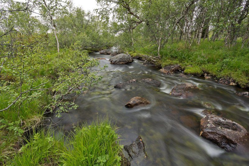 кольский, полуостров, ручей, лето, кайхъявр У ручья фото превью