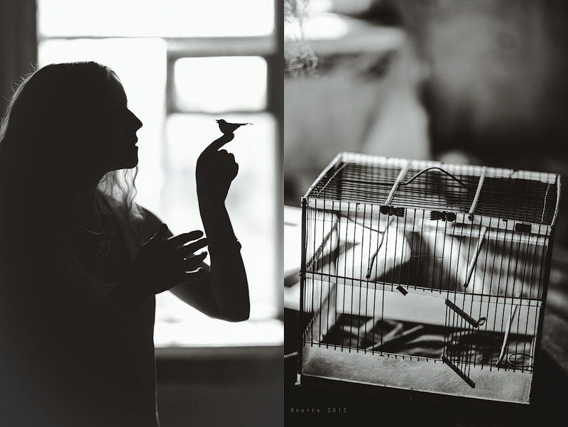 One Suicide storyphoto preview