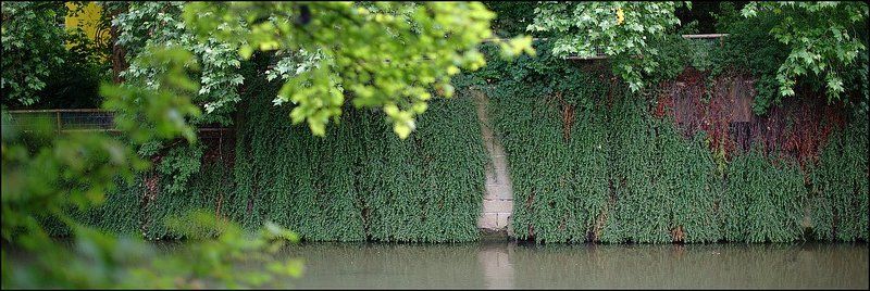 Тишинаphoto preview