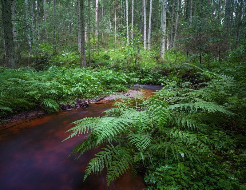 Вдоль по ручьюphoto preview