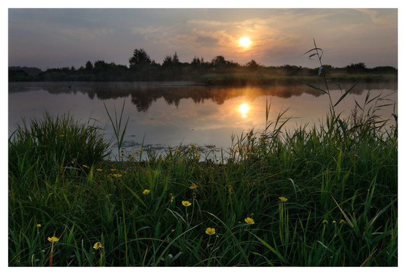 ИЮЛЬphoto preview