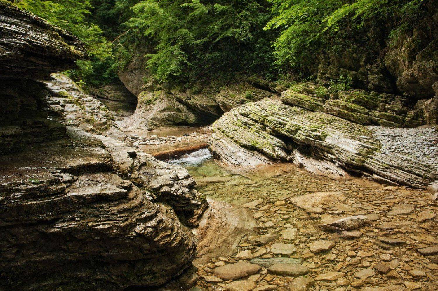 , Михаил Зимин