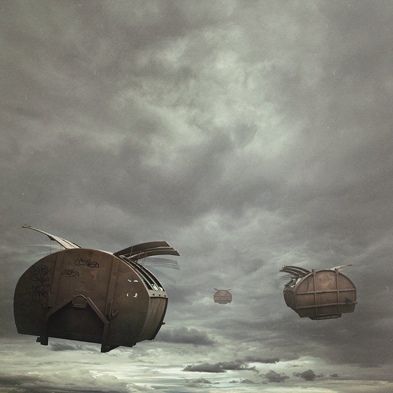 sometimes they fly awayphoto preview