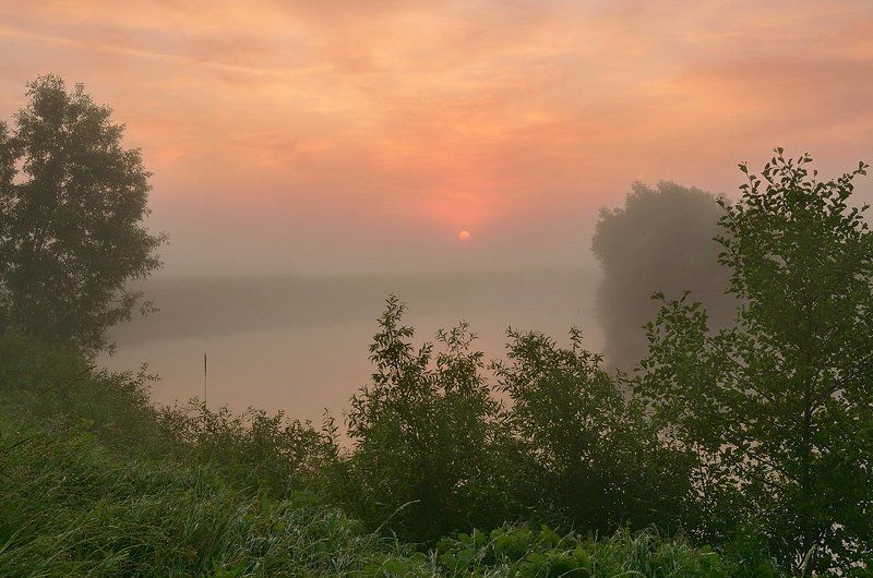 Туманный июльphoto preview