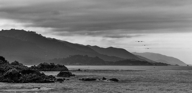 monterey, california, pacific, ocean, rocks, birds, fly, away Улетают...photo preview