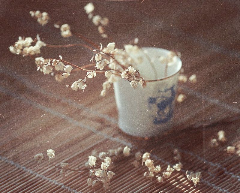 ландыши,anastasia barkovskaya midsummerphoto preview