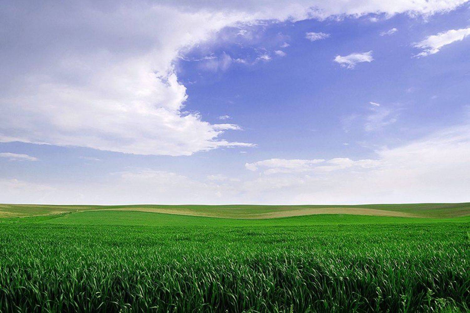 , Павел Нагорный