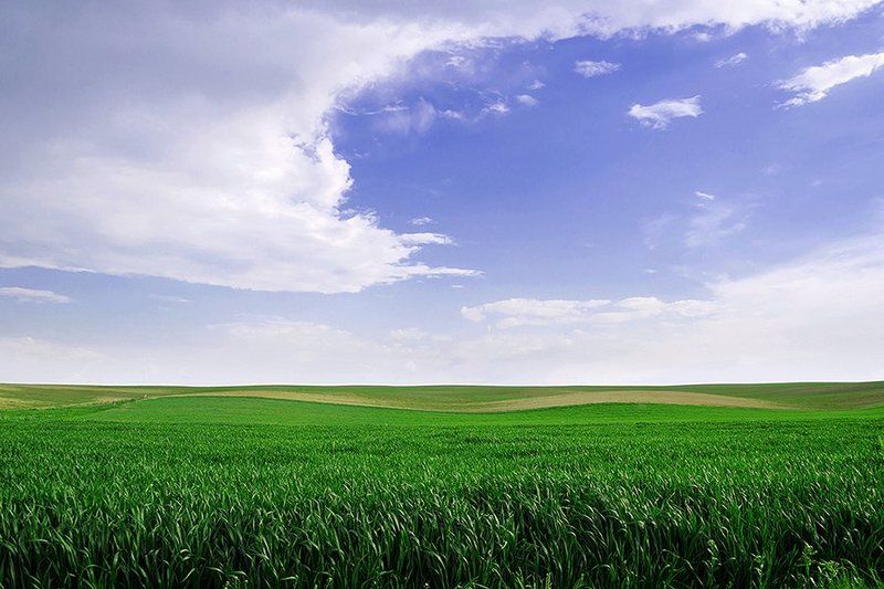 безмятежностьphoto preview