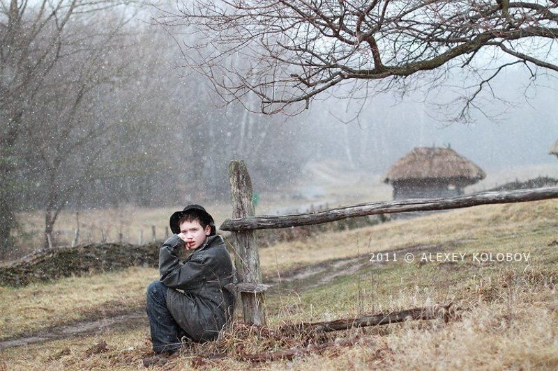 photography ...photo preview