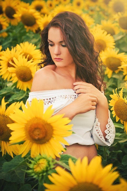 sunflowers, vol, 1 photo preview