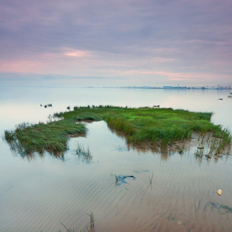 Зеленая-зеленая траваphoto preview