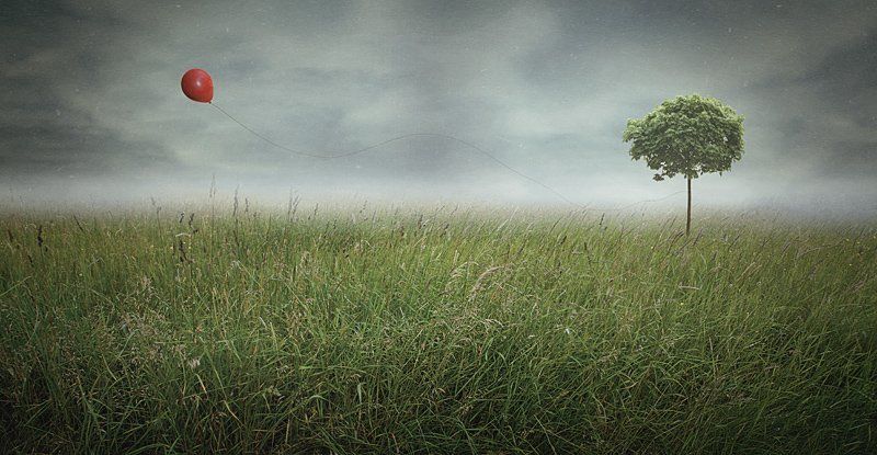 best friendsphoto preview