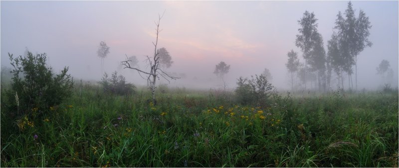 утро, туман ~photo preview