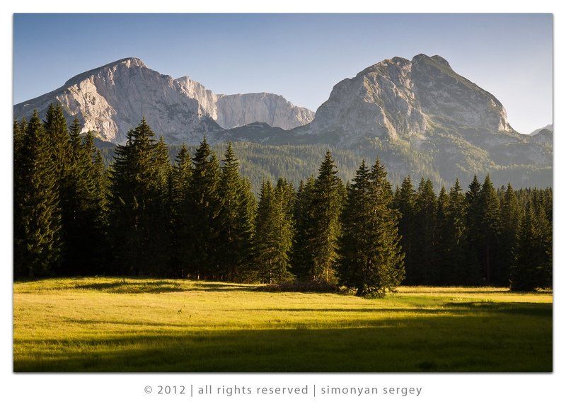 Вечер, Горы, Деревья, Дурмитор, Европа, Елки, Черногория photo preview