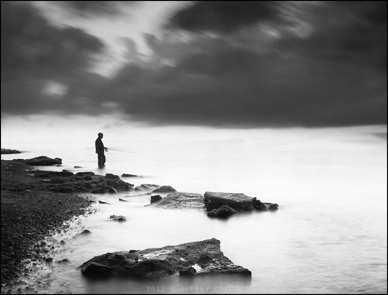 photography ...photo preview