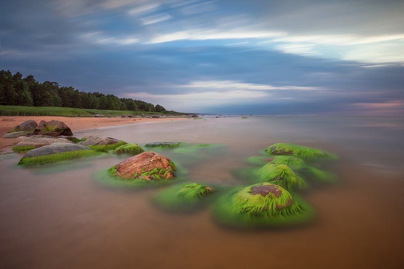 Сад камнейphoto preview