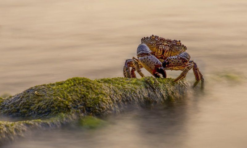 ЭТО МОЙ КАМЕНЬ - А НУ ПОШЛИ ,,,,!photo preview