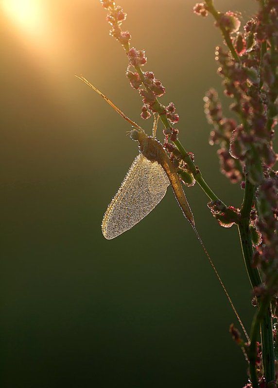 к светуphoto preview