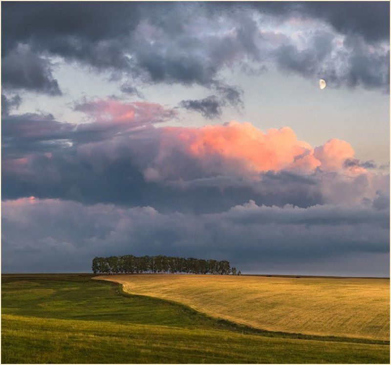 Натюрмортphoto preview