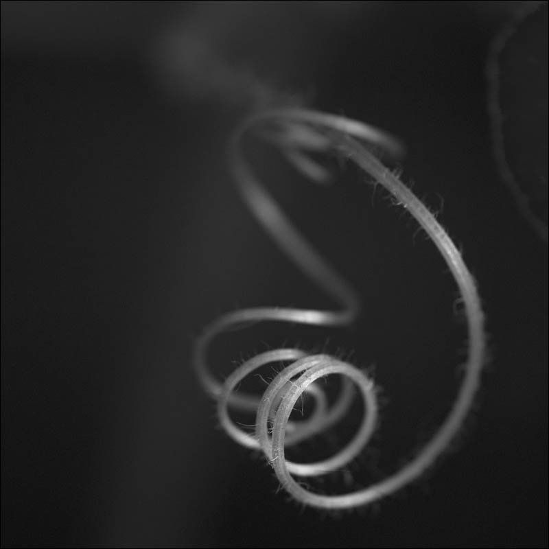 Флораphoto preview