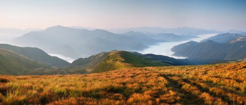 утро, карпаты, полонина, близницы Утро на полонине...photo preview