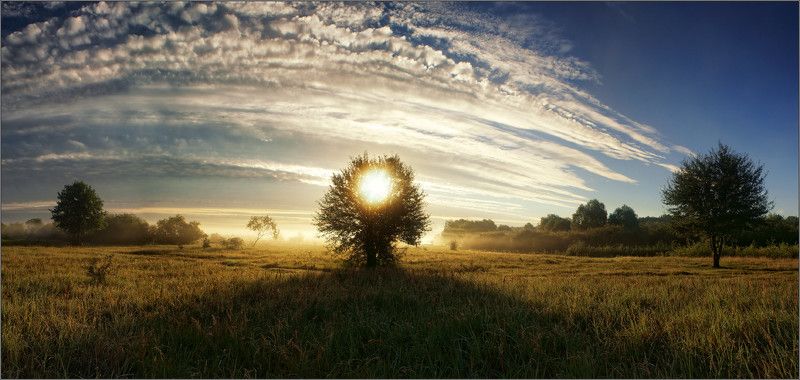 О предстоящем жарком дне...photo preview