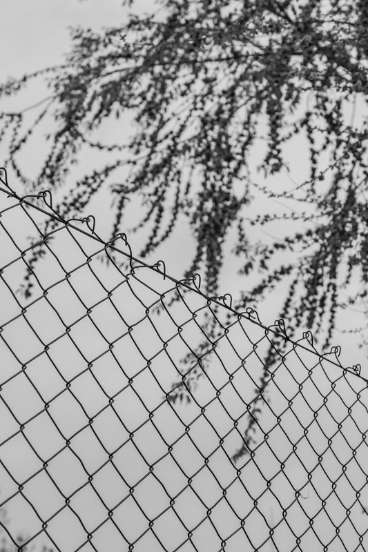 mohib ali photography Iron and Naturephoto preview