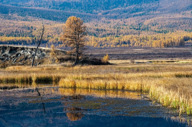 горы, алтай, горный алтай, солнце, утро, озеро, джангысколь, ештыкёль, урочище, отражение, , Утро на Джангысколе.photo preview