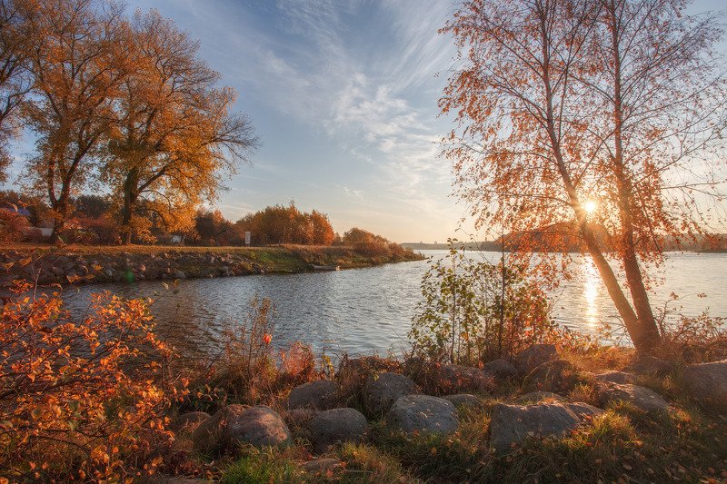 осень, тепло, минск, беларусь, свислочь, листва Тепло осениphoto preview