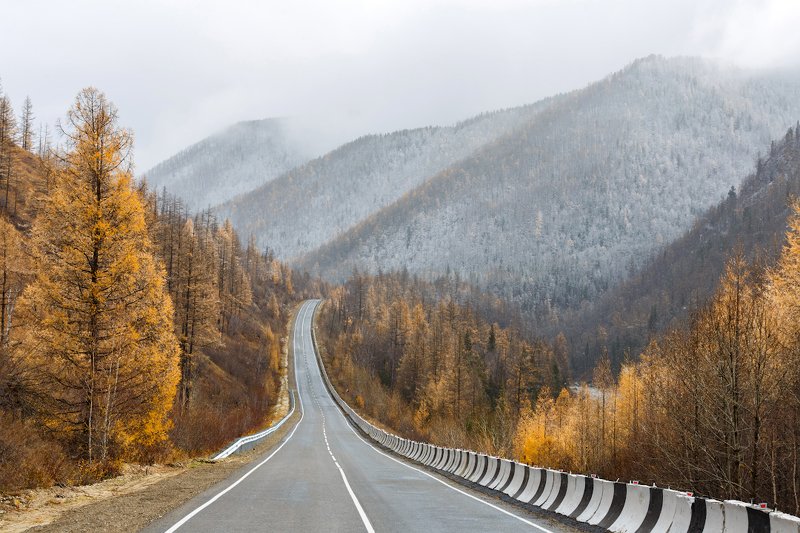 Из осени в зиму.photo preview