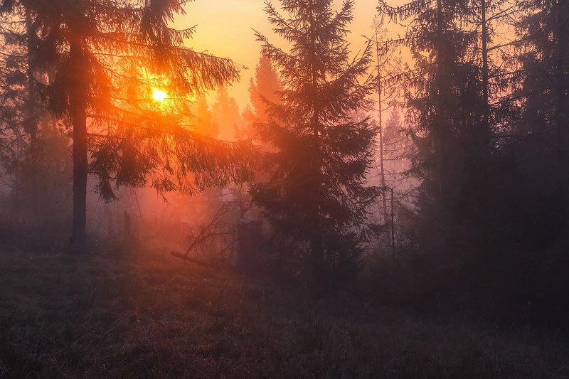 Карпаты.Пилипец.photo preview