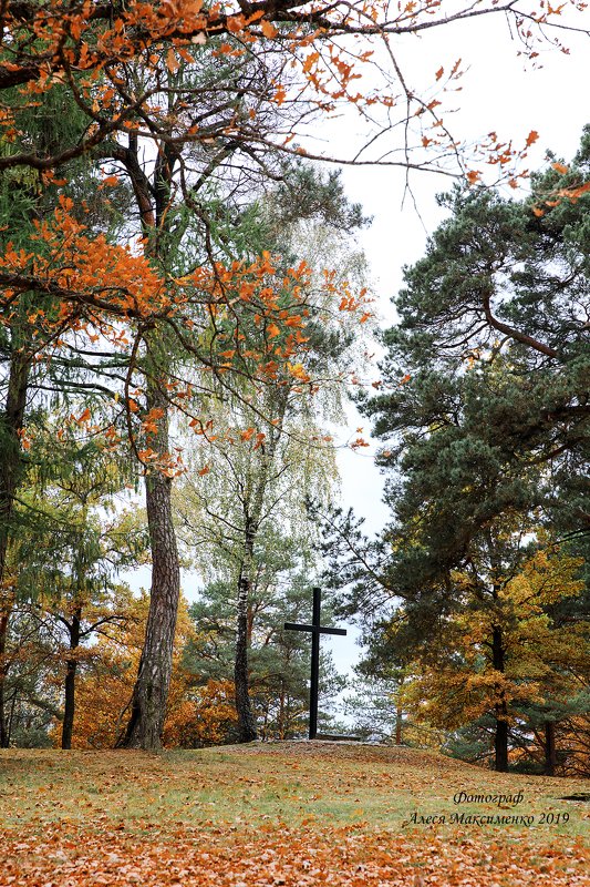 Краски осень photo preview