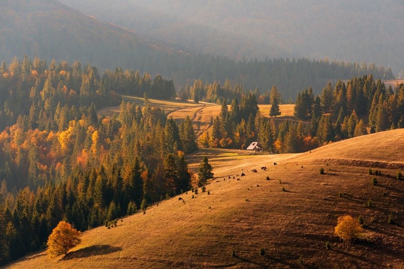 Карпатыphoto preview